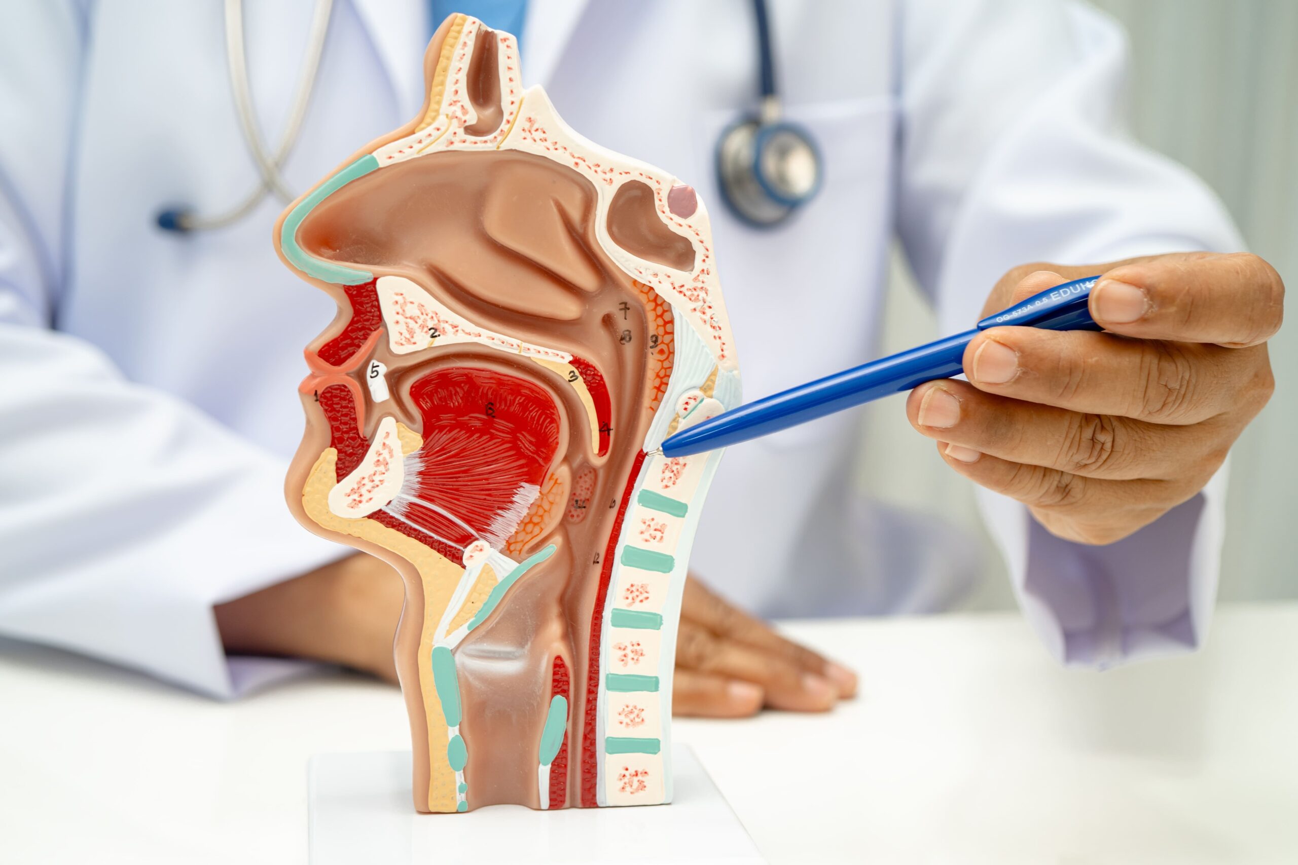 Image asian doctor with nasal oral throat cavity neck hu 2025 10 08 12 24 27 utc