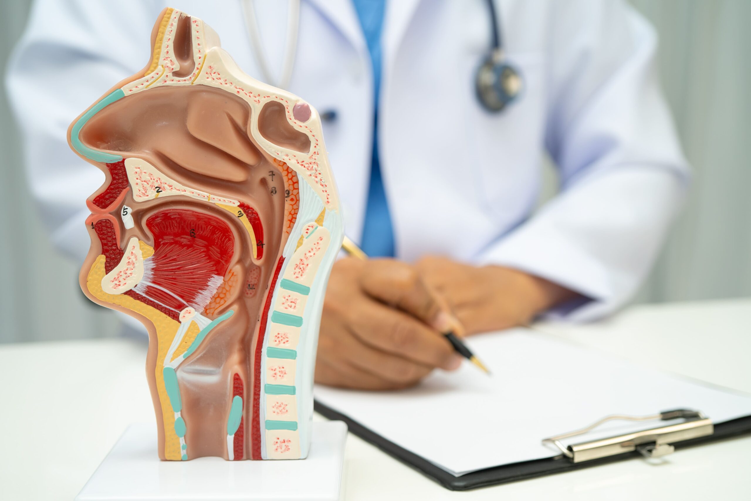 Image asian doctor with nasal oral throat cavity neck hu 2025 10 27 08 41 41 utc