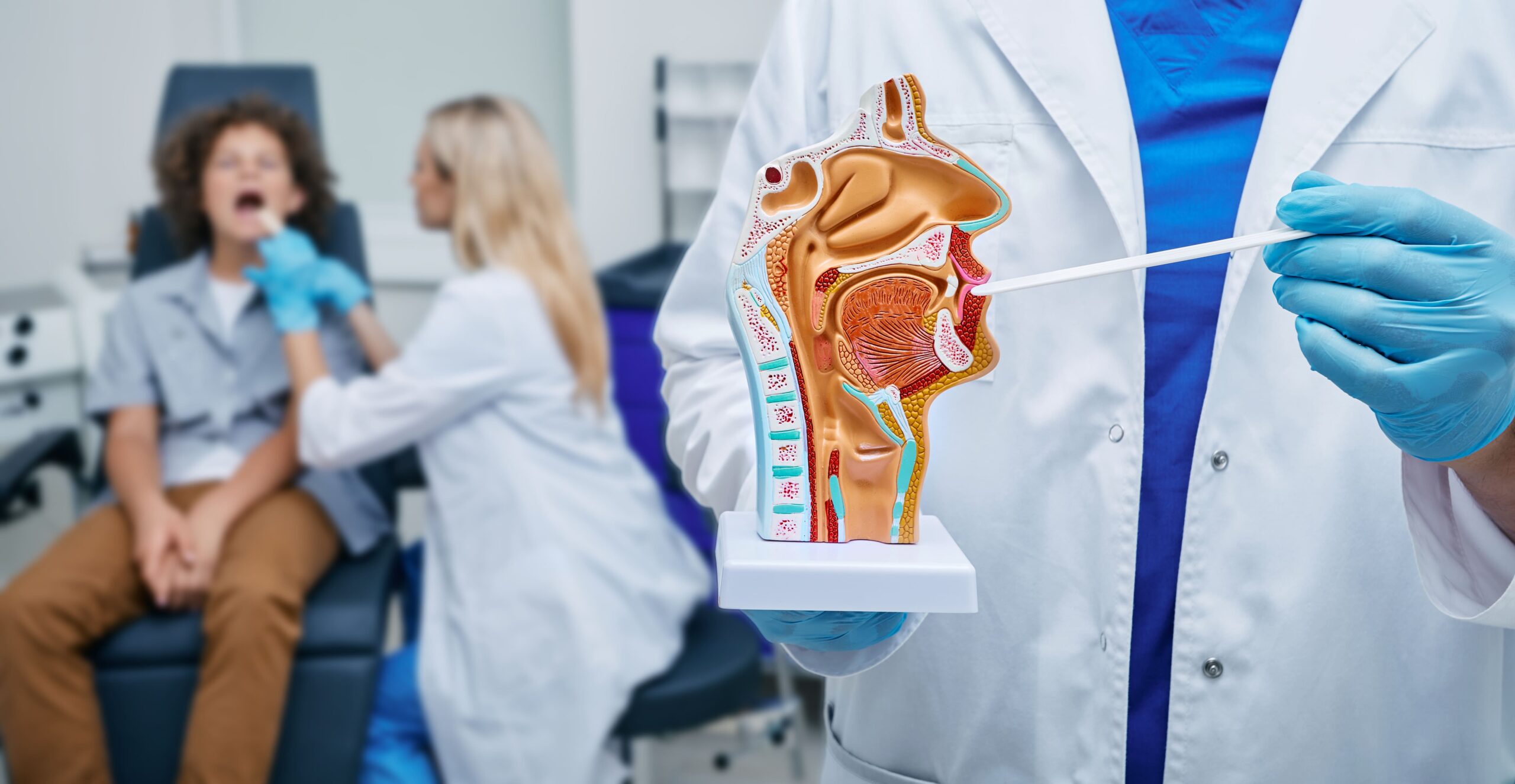 Image oral cavity anatomical model and throat inspection 2025 09 14 16 40 33 utc