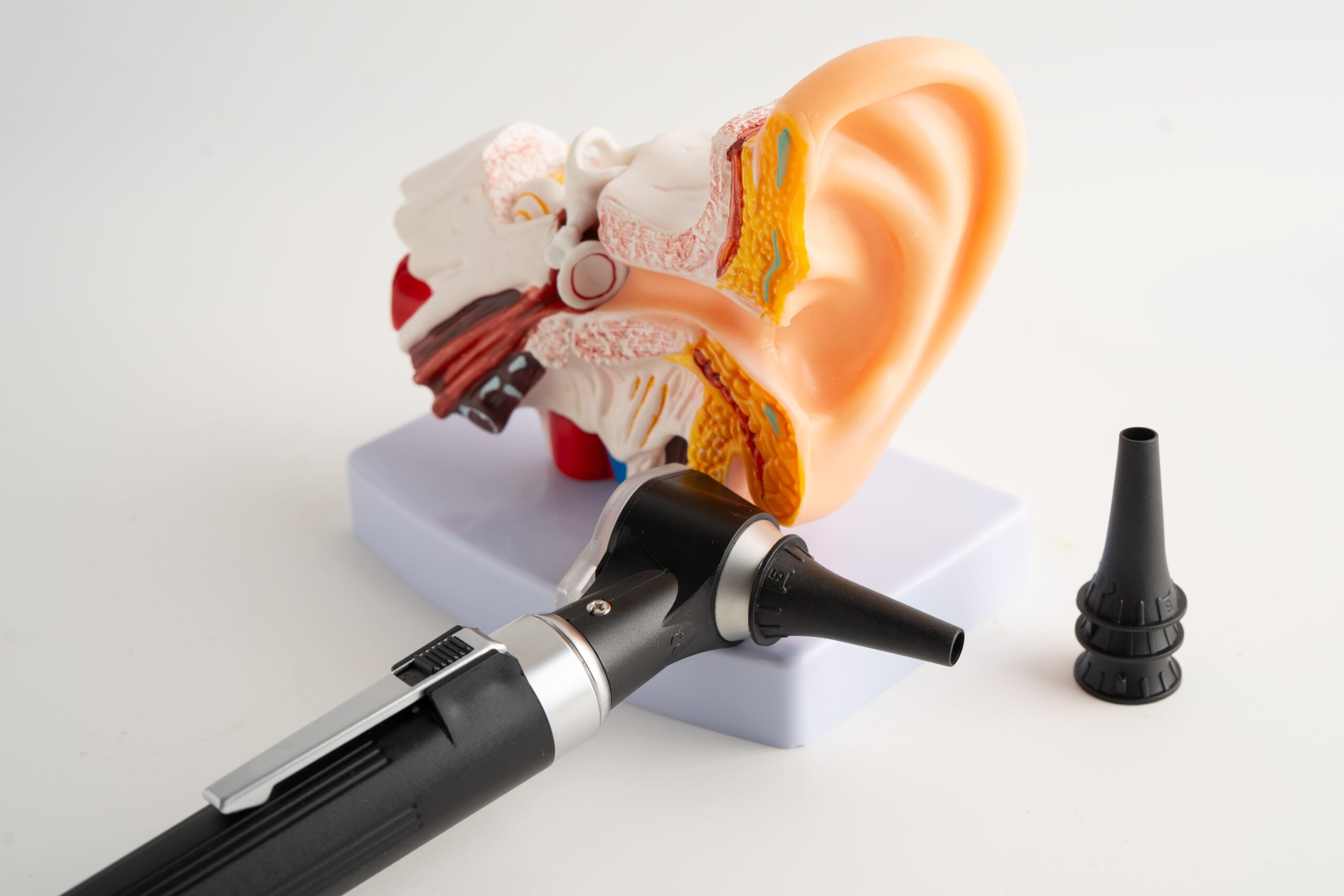 Image otoscope with model for audiologist or ent doctor 2025 09 08 12 05 43 utc