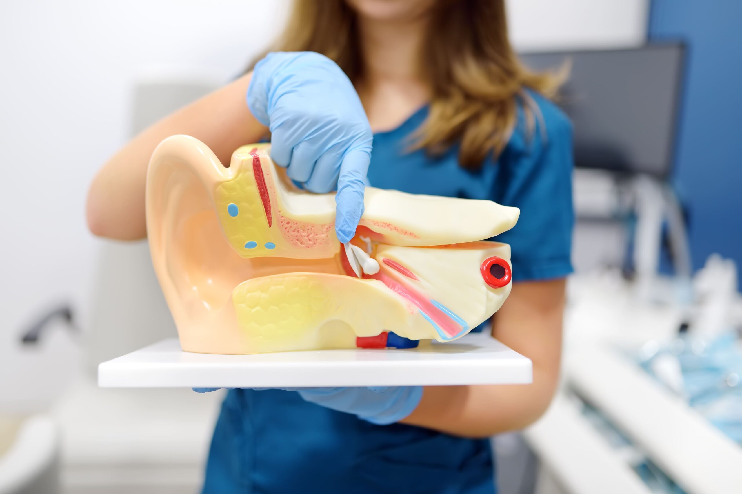 Image the otolaryngologist explains to the patient about 2025 02 21 12 33 18 utc